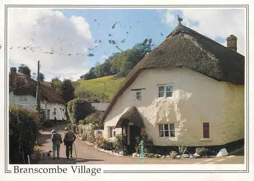 Postcard United Kingdom England Devon Branscombe