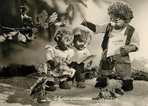 Postcard Germany humanized hedhehog musicians