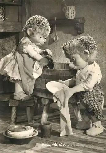 Postcard Germany humanized hedhehog washing dishes