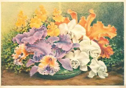 Postcard flowers vase painting