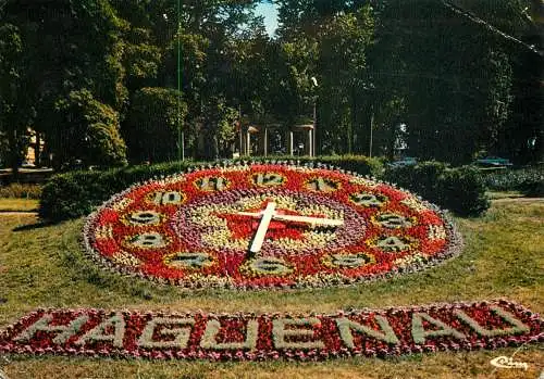 Postcard Bas Rhin > Haguenau floral clock