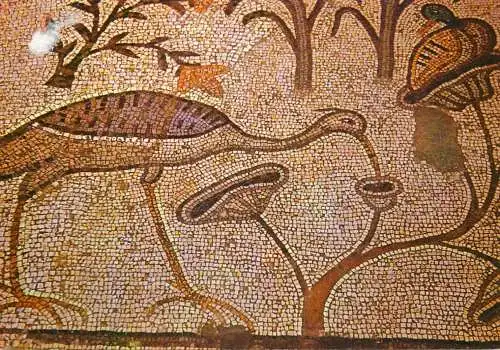 Postcard Israel Tabgha Mosaic floor church of the multiplication