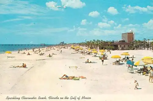 Postcard United States Florida sparkling Clearwater beach Florida and Gulf of Mexico
