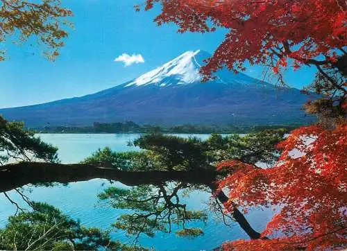 Postcard Japan Mt. Fuji and Lake Kawaguchi maple leaves