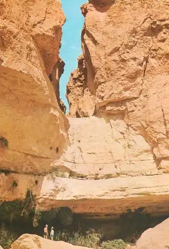 Postcard Israel Ein Gedi the dry Kanyon at Nachal David