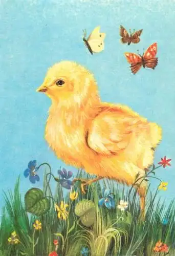 Postcard animals chicken