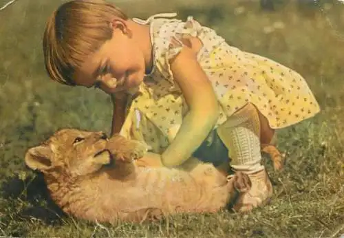 Postcard animals lion cub and small girl