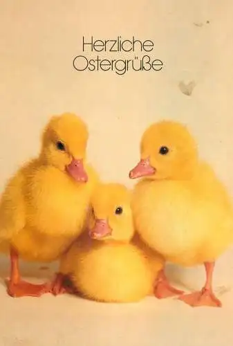 Postcard Easter scene chicken Herzliche Ostergrube