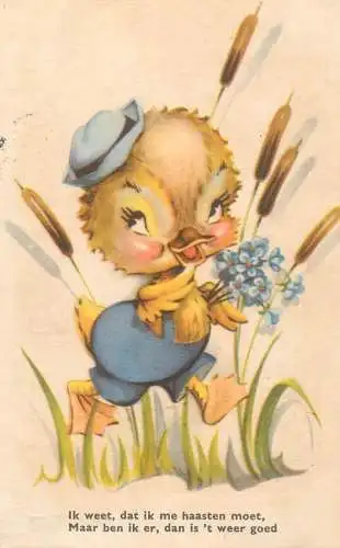 Postcard humour cartoon humanized duck