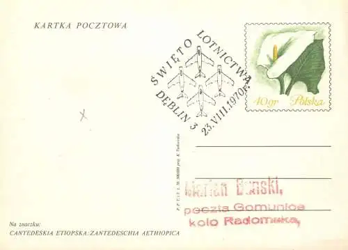 Postal services stationery postcard Poland Cantedeskia Etiopska Zantedeschia Aethiopica Deblin Swieto 1970