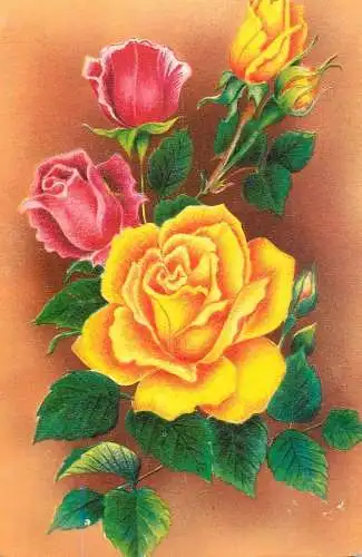 Holiday postcard flower rose Hungary
