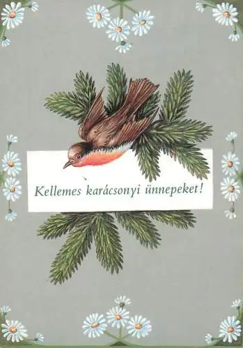Postcard Hungary illustrator Hatvany Jozsefne 1990 bird and tree