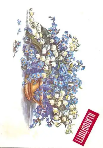 Postcard Hungary illustrator Gyene Ida flower water lilly vase