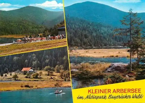 Germany Kleiner Arbersee im Naturpark Bayersiches Wald