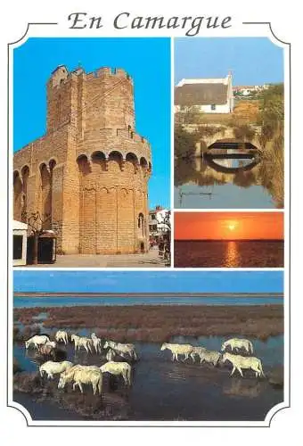 Postcard France en Camargue Les Saintes Maries de la mer