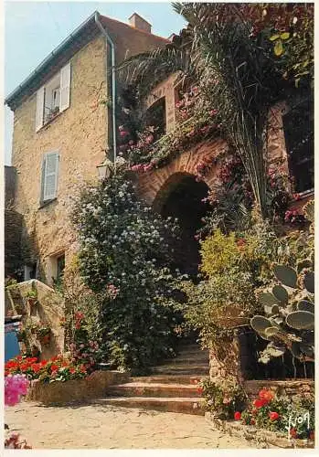 Postcard France Var > Bormes-les-Mimosas