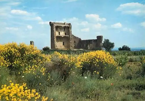Postcard France Vaucluse Chateauneuf du Pape ruins