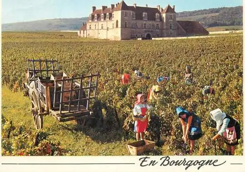 Postcard France les Vendanges en Bourgogne