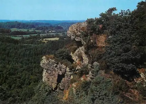 Postcard France Orne La Roche d'Oetre