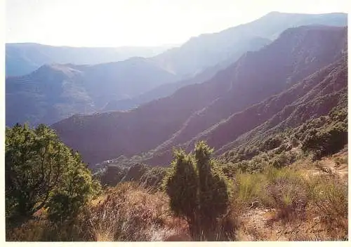 Postcard France Cévennes massif de l'Aigoual