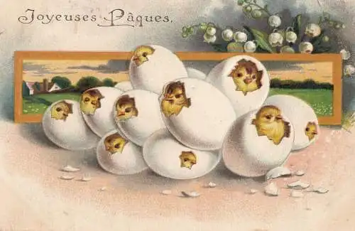 Embossed Easter fantasy greetings postcard 1908 chicken eggs