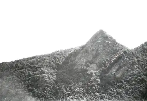 Photo Romania 9 x 12 cm Lupsa village 1965