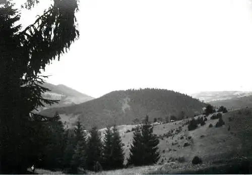 Photo Romania 9 x 12 cm Bucium 1965