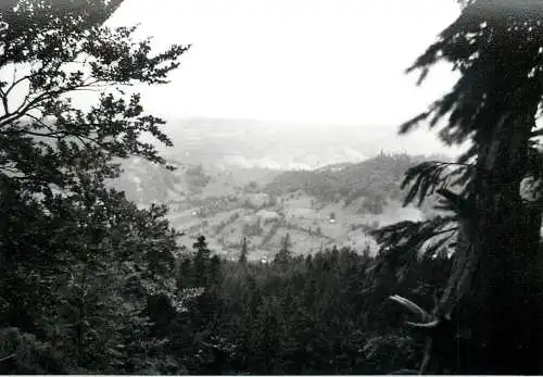 Photo Germany 9 x 12 cm Bastei mountain region 1965