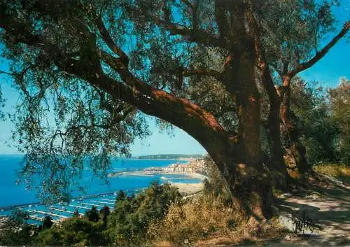 Postcard France Alpes Maritimes Menton Cote d'Azur