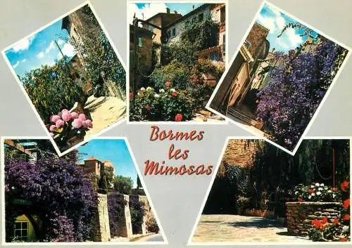 Postcard France Var > Bormes-les-Mimosas