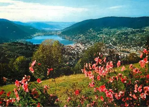 Postcard France Vosges Gerardmer lake view