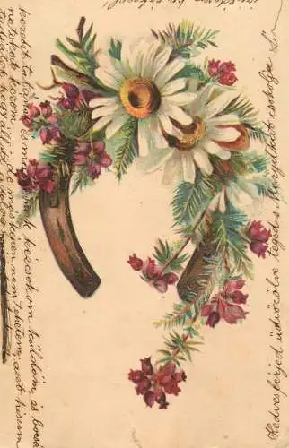 Daisy flowers and luck horseshoe fantasy greetings postcard 1907 Des - Nyarad Szereda