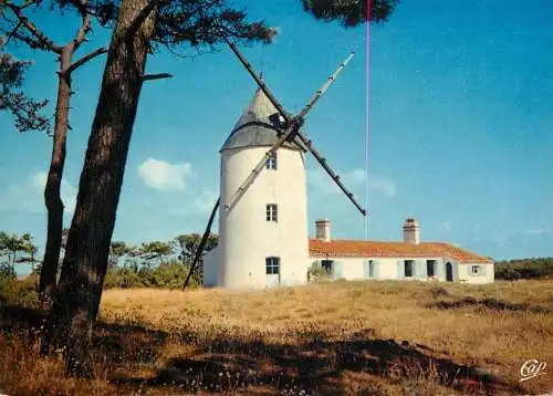 Postcard France Vendée Ile de Noirmoutier le moulin de la Bosse