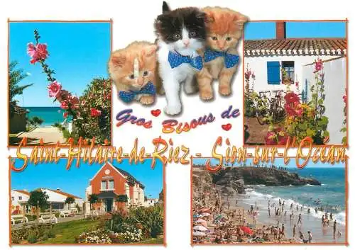 Postcard France Vendée Sion sur l'Ocean