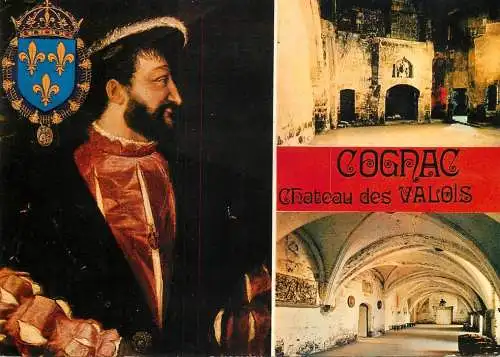 Postcard France Charente > Cognac le chateau des Valois