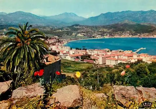 Postcard France Corse du Sud Ajaccio