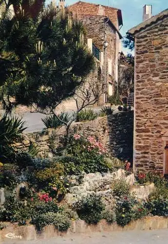 Postcard France Var > Bormes-les-Mimosas