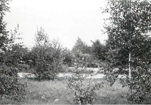 Romania scenic photo 9 x 12 cm 1965 Betlen rural landscape