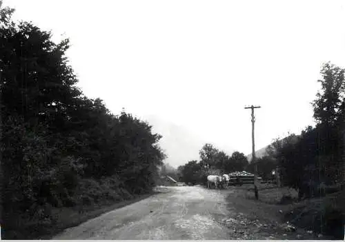Romania scenic photo 9 x 12 cm 1965 rural landscape and ox cart