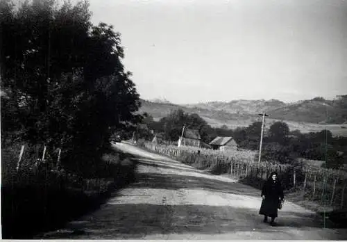 Romania scenic photo 9 x 12 cm 1965 rural landscape