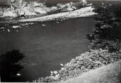 Romania scenic photo 9 x 12 cm 1965 river banks