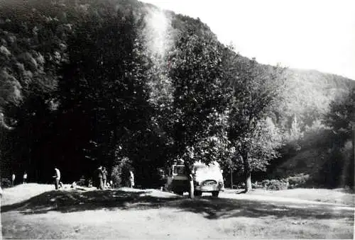 Romania scenic photo 9 x 12 cm 1965 forest scene