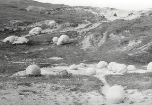 Photo 9 x 13 cm Czech Republic 1965 round stones in nature