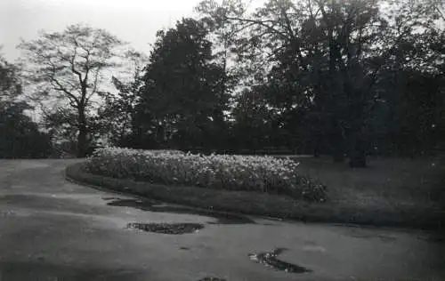 Photo 9 x 13 cm Praga 1965 park