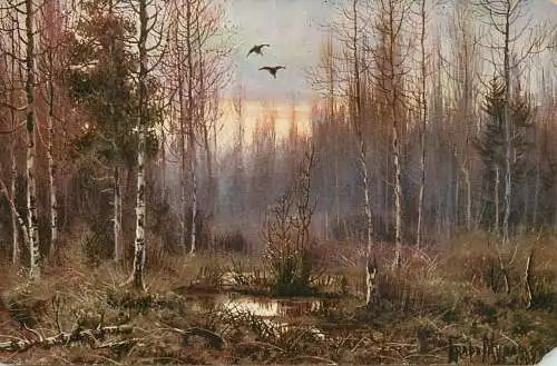 Fine art postcard painting Germany landschaft forest scene Graf Murawieff die erste Schnepfe