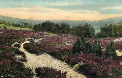Fine art postcard painting Luneburger Heide naturfluchtpark