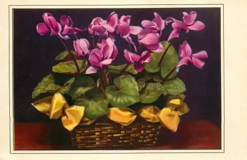 Flower postcard Belgium purple flower basket