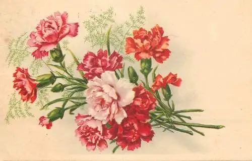 Flower postcard Belgium flower bouquet