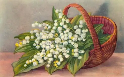 Flower postcard Romania flower basket lacramioare