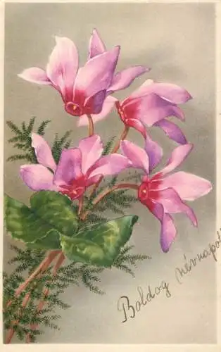 Flower postcard Boldog nevnapol bloomed flower